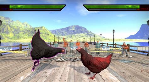 chicken fight game|Chicken fight .